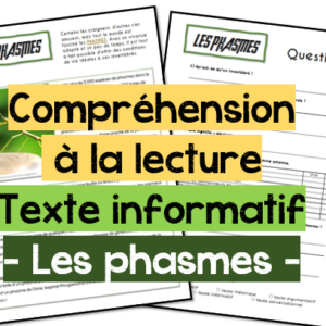 Savoir lire - compréhension texte