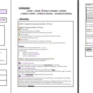 Syllabus Formation économique & sociale - cours complet P5 – Image 3